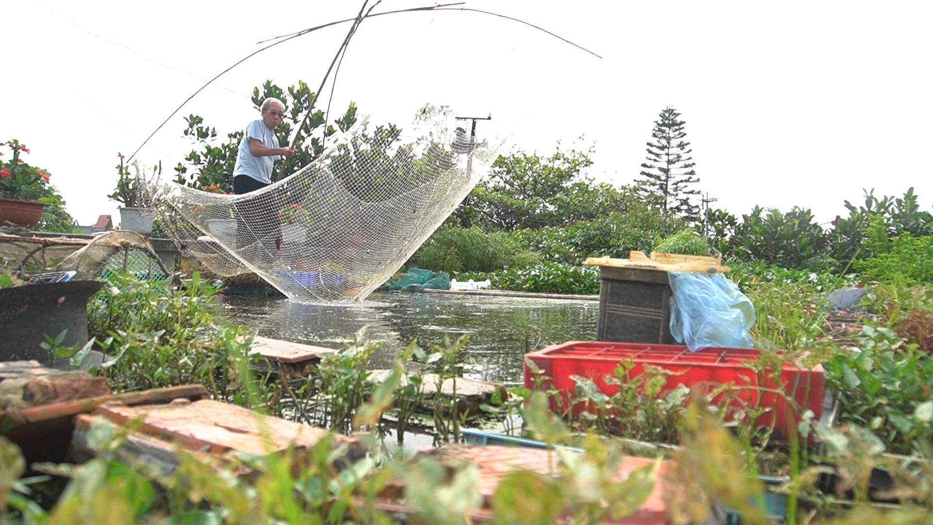Cụ ông U90 chơi lớn đặt ao cá lên mái nhà và trồng thêm rau