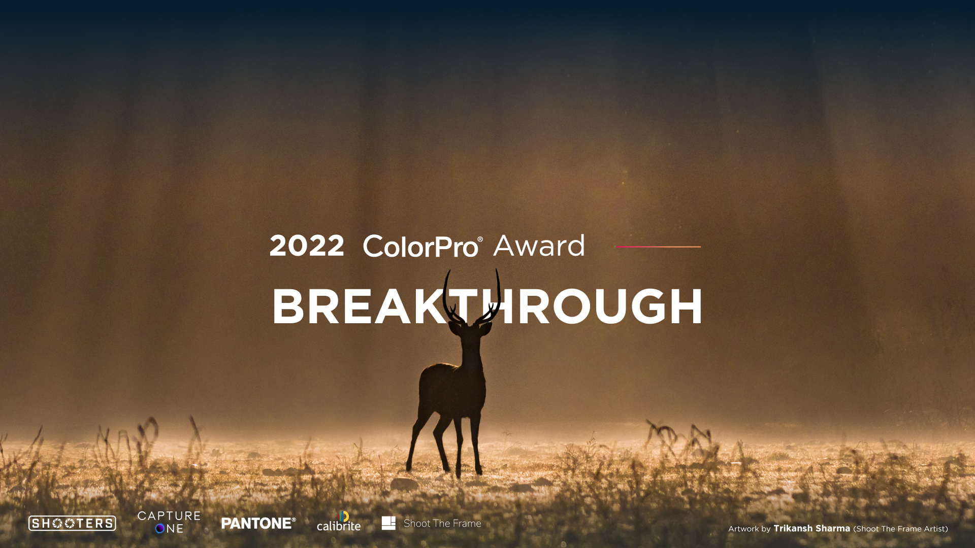 Cuộc thi ảnh toàn cầu ColorPro Award 2022 đã diễn ra