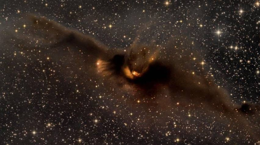 NASA chụp được ảnh “con dơi khổng lồ” trong vũ trụ bay về phía ...