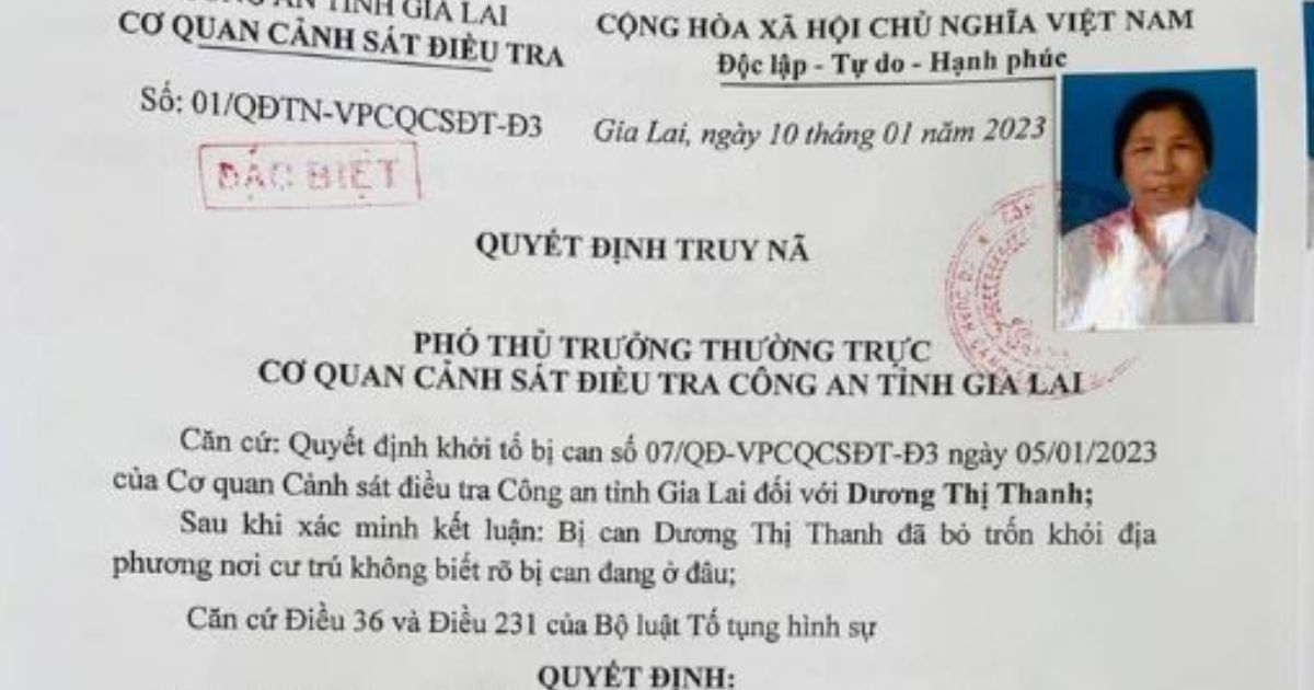 Vay 19 tỉ đồng rồi bỏ trốn, cụ bà 73 tuổi bị truy nã đặc biệt