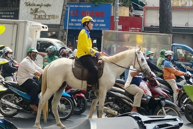 Xử phạt người đàn ông cưỡi ngựa dạo khắp trung tâm TP.HCM