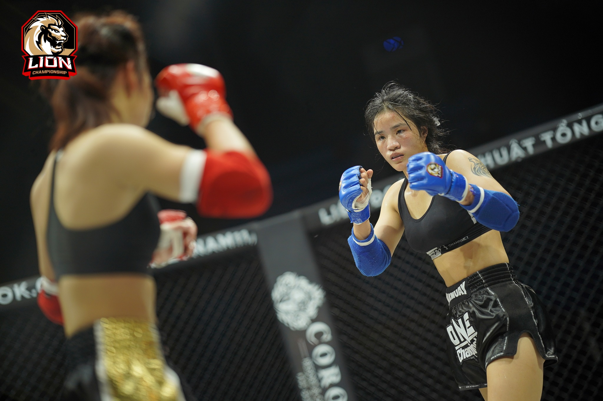 Hai hot girl MMA Việt Nam đại chiến, khán giả xem mà đau lòng Hai hot girl MMA Việt Nam đại chiến, khán giả xem mà đau lòng