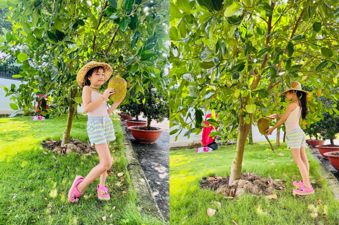 Ốc Thanh Vân thích thú khoe vườn nhà đầy rau xanh, con gái điệu đà tạo dáng bên cây mít trĩu quả