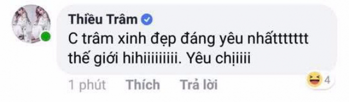 Thiều Bảo Trâm nói gì khi bị mỉa mai dùng nick ảo tự khen mình đẹp mà dùng nhầm tài khoản thật?