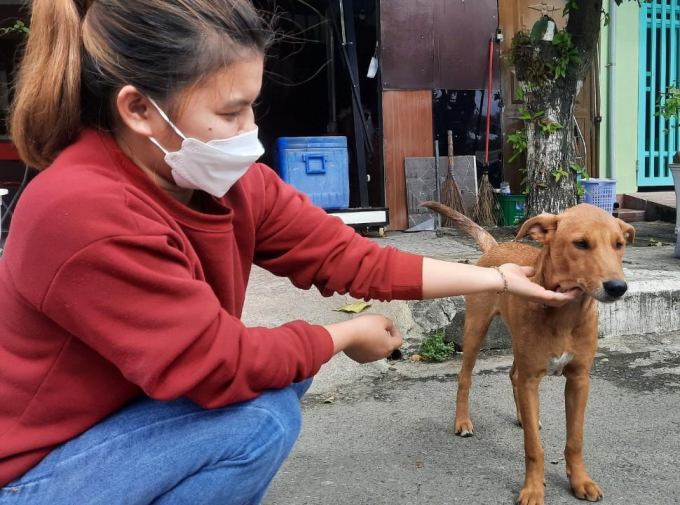 Hội An trở thành địa phương đầu tiên tại Việt Nam nói không với thịt chó, mèo