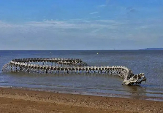 Bộ xương quái vật khổng lồ trồi lên giữa mặt biển gây sợ hãi, du khách vẫn nườm nượp đến check-in