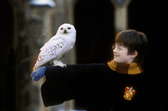 Giải mã sức hút thương hiệu Harry Potter qua 2 thập kỷ: thế giới phù thủy chưa bao giờ rực rỡ đến thế