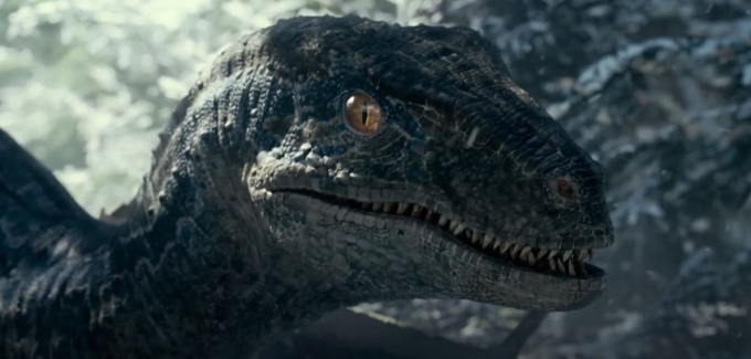 Hành trình cô khủng long Blue “đốn tim” hàng triệu khán giả của loạt phim Jurassic World