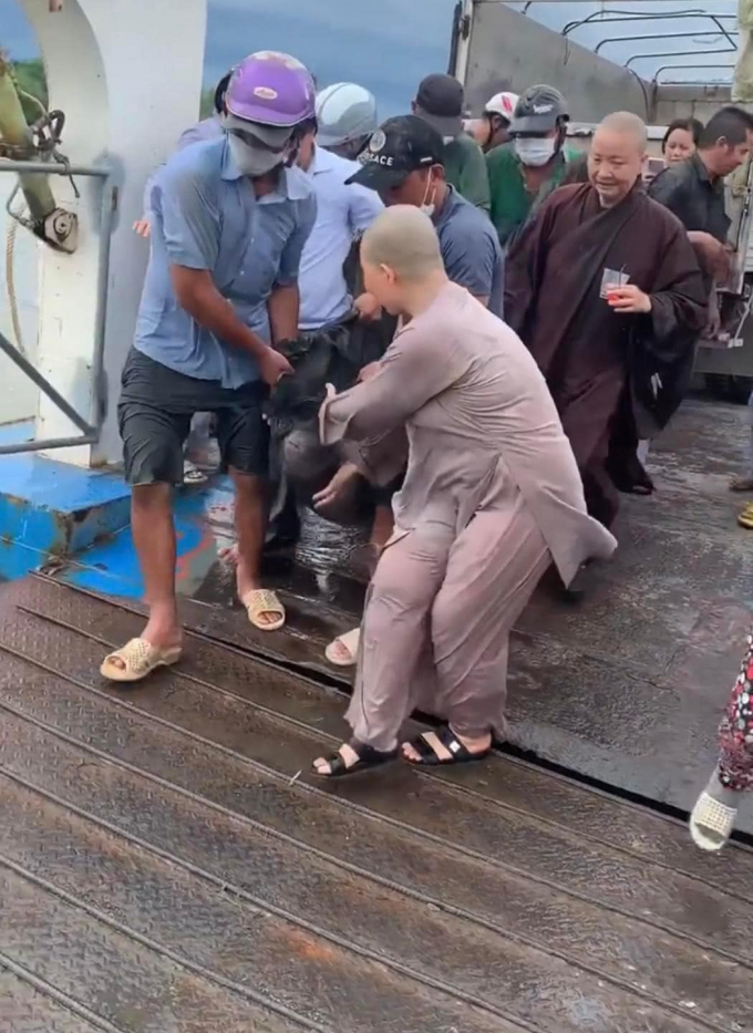 Cộng đồng mạng xôn xao tranh cãi về sự việc phóng sinh cá Hải Tượng Long xuống ngày rằm tháng 7