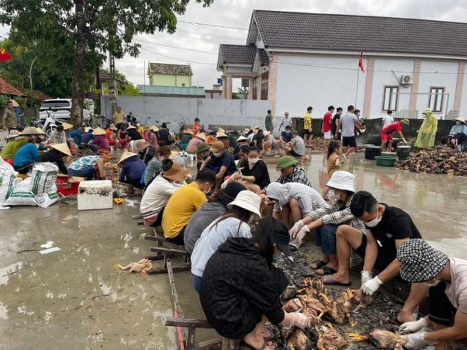 Hàng nghìn con gà bị chết do mưa lũ, cả làng kéo đến giúp sơ chế