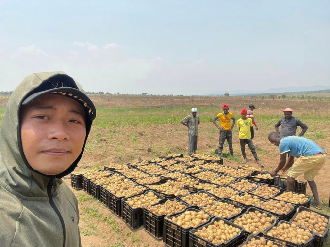 Thu hoạch được 700kg khoai tây, Quang Linh vlogs không bán mà đem tặng hết cho bà con ở các bản làng