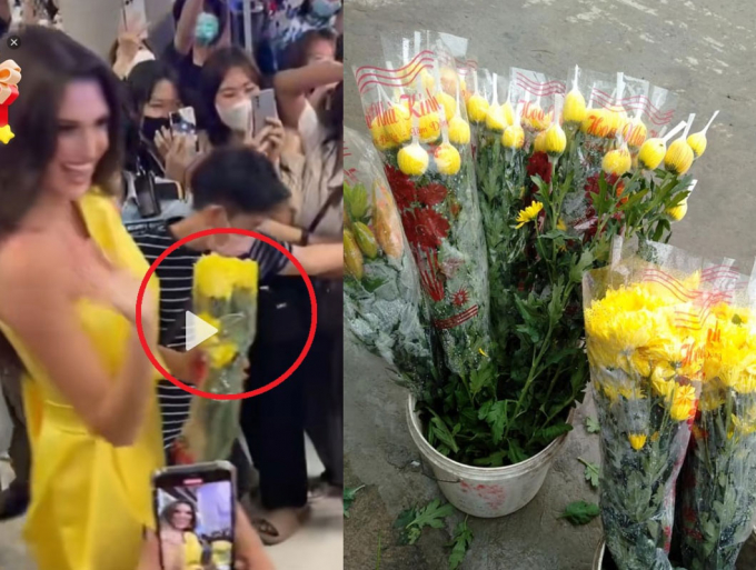Fans Thái tặng hoa cúc vàng cho Tân Hoa hậu Hòa bình người Brazil, netizen tức điên khi tìm hiểu ý nghĩa