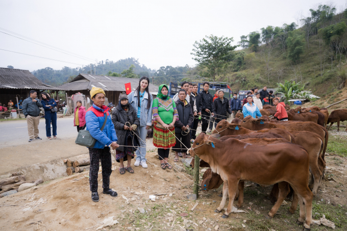 Á hậu Phương Nhi tặng 20 con bò cùng nhiều phần quà giá trị cho hộ dân khó khăn tại quê hương Thanh Hóa