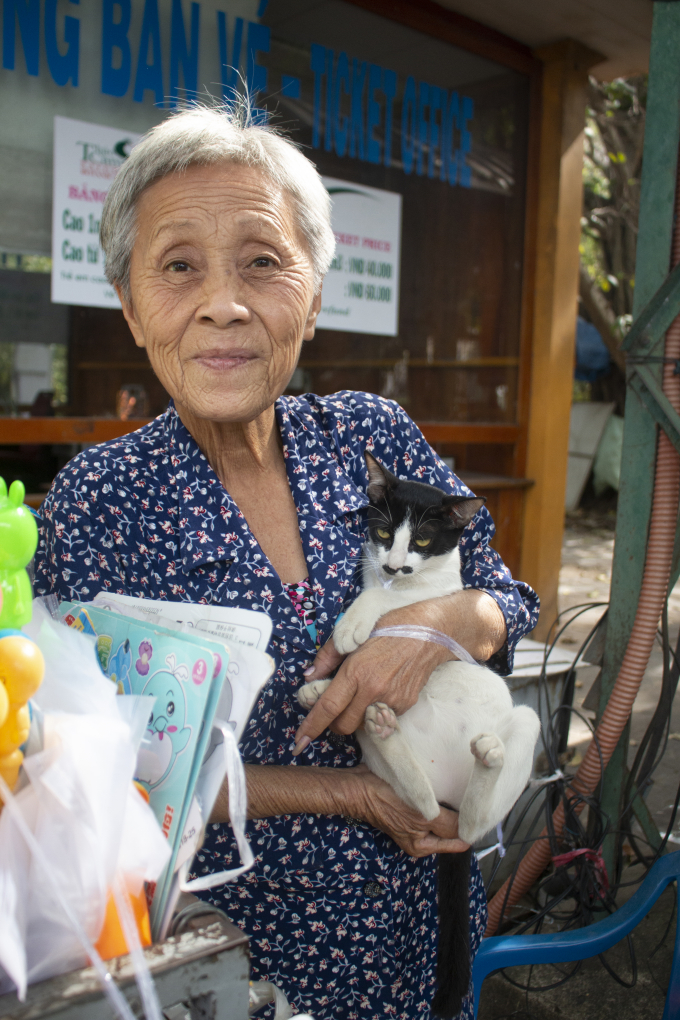 Cụ bà U70 cưu mang đàn mèo hoang tại Thảo Cầm Viên: Vay tiền mua thức ăn, có cả khách sạn mini cho hoàng thượng