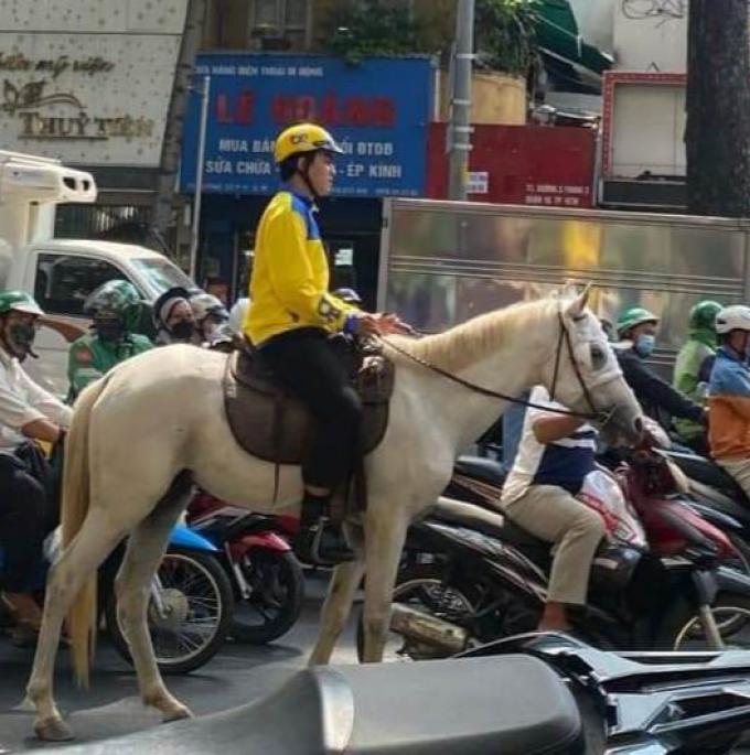 Xử phạt người đàn ông cưỡi ngựa dạo khắp trung tâm TP.HCM