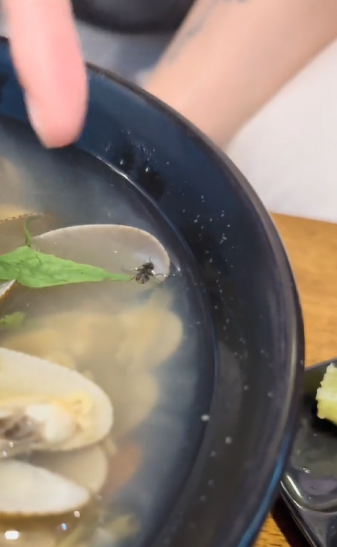 Quán ốc tại Huế bị Võ Hà Linh chê thậm tệ nói gì trước liên hoàng phốt đũa bẩn, thức ăn có ruồi?