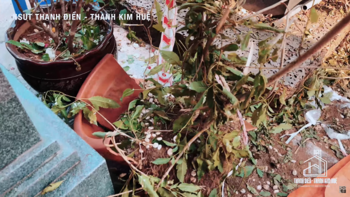 Phần mộ của NSƯT Thanh Kim Huệ bị giẫm đạp, gãy phần mái, chậu hoa đổ vỡ sau tang lễ NSƯT Vũ Linh