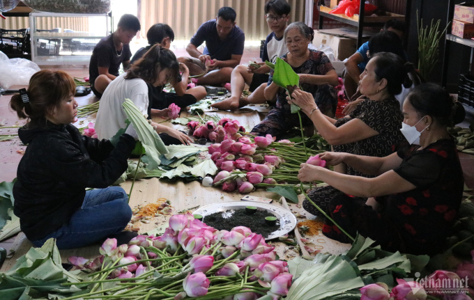 Mùa hoa sen nở hái cả triệu bông, anh nông dân thu 8 tỷ đồng