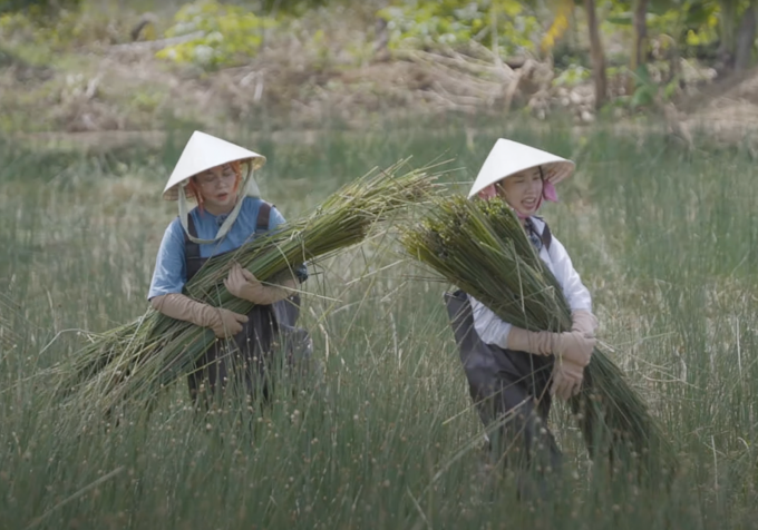 Thùy Tiên cùng MisThy về Tiền Giang “xin việc kiếm cơm”, tôn vinh nghề nông Việt Nam