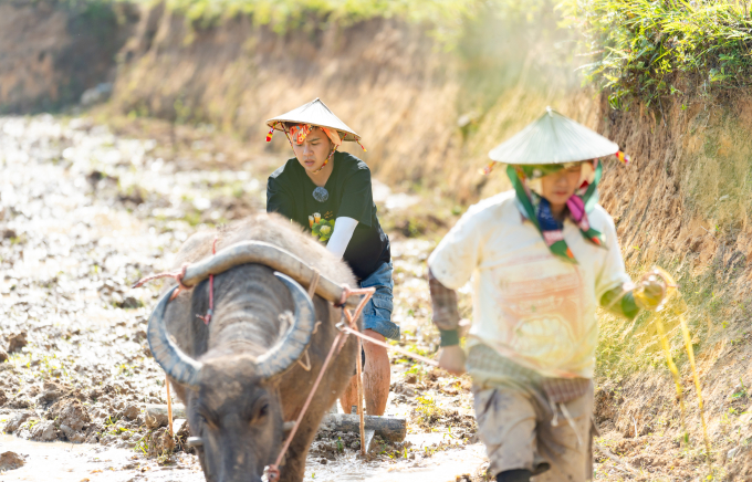 Gia đình Haha tập 2: Duy Khánh vào trạm xá giữa đêm, cảm phục người mẹ kiểm lâm phi thường