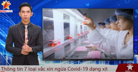 Tin tối 31/7 Cập nhật Thông tin về 7 loại vắc xin ngừa Covid-19 dạng xịt mũi