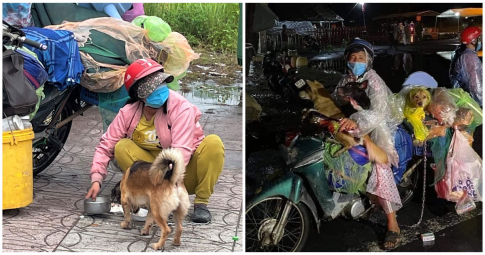 Cà Mau: Chính quyền thừa nhận thiếu sót trong việc tiêu hủy 15 con chó được chủ chở về quê