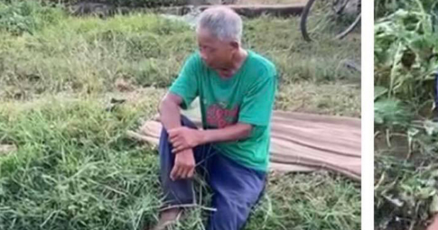 Vụ phá ruộng dưa ở Nghệ An: Vợ chồng lão nông tha thứ cho nhóm thanh niên