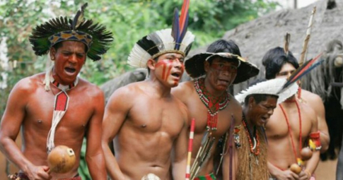 Nghi lễ trưởng thành ‘kinh hoàng’ của bộ lạc ở Amazon: Hàng trăm con kiến đạn đốt đau đến mất hết cảm giác