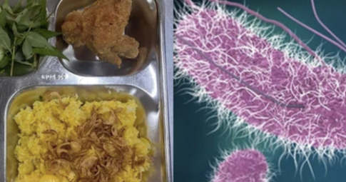Món gà chiên trong suất ăn ở trường iSchool nhiễm khuẩn salmonella từ đâu?