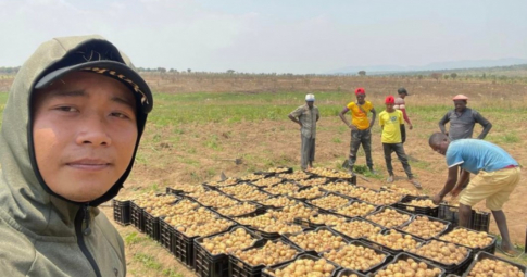 Quang Linh vlog tự tay trồng và vận chuyển khoai giống tây đến tận người dân Angola