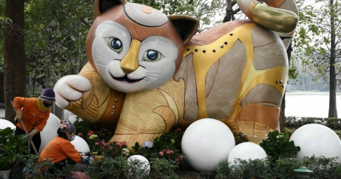 Tại sao Việt Nam đón năm Mèo, không phải Thỏ như các nước khác?