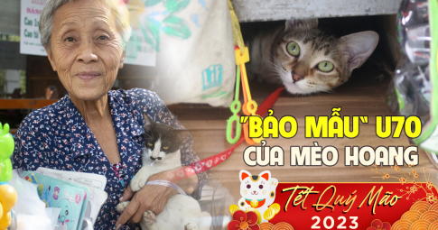 Cụ bà U70 cưu mang đàn mèo hoang tại Thảo Cầm Viên: Vay tiền mua thức ăn, có cả khách sạn mini cho "hoàng thượng"