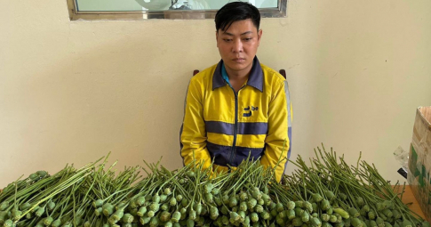 Tài xế xe ôm công nghệ mang 5kg anh túc ra đường bán như rau tại Hà Nội